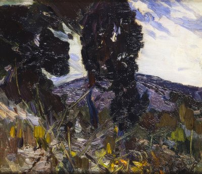 Landschaft von Joaquim Mir i Trinxet