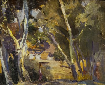 Miravet von Joaquim Mir i Trinxet