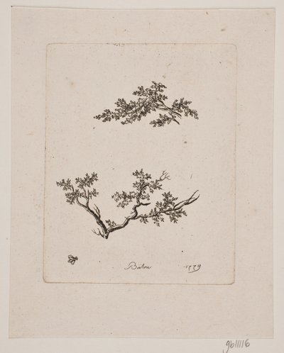 Zwei Zweige von Johan Bülow