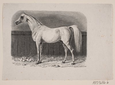 Ein Pferd von Johan Frederik Rosenstand
