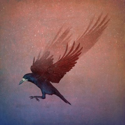 Vogelreich von Johan Lilja