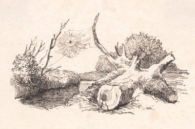 Die Spinne von Johan Thomas Lundbye