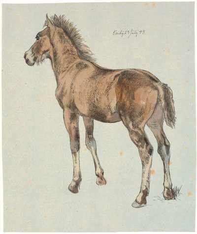 Ein stehendes Fohlen von Johan Thomas Lundbye