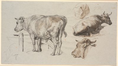 Rinderstudien. Links der Stier Graf Geert von Johan Thomas Lundbye