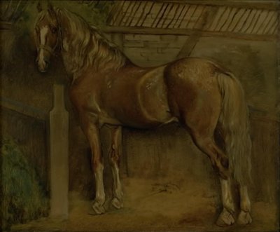 Sechzehnjähriger Hengst der Knabstrup-Rasse von Johan Thomas Lundbye
