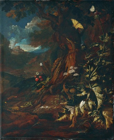 Landschaft mit Reptilien und Insekten von Johann Adalbert Angermayer