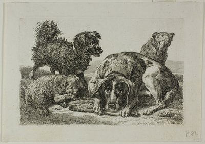 Vier Hunde, aus Die Zweite Thierfolge von Johann Christian Reinhart