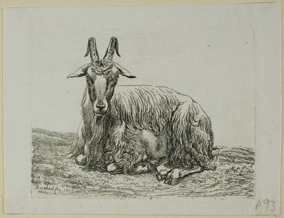 Liegende Ziege, aus Die Zweite Thierfolge von Johann Christian Reinhart