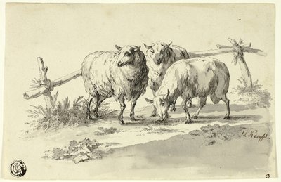Schafe von Johann Christoph Kimpfel