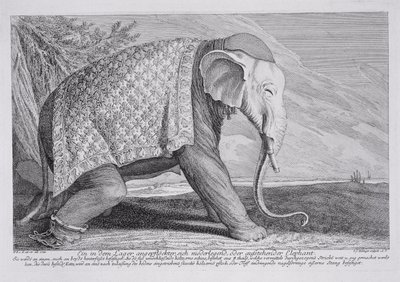 Ein Elefant von Johann Elias Ridinger or Riedinger