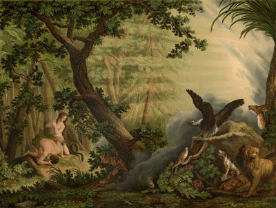 Der Fall von Johann Elias Ridinger or Riedinger