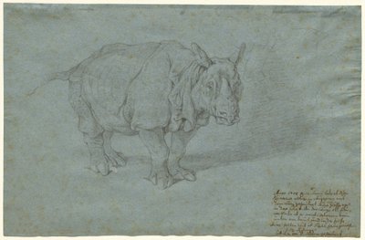 Das Nashorn "Miss Clara" von Johann Elias Ridinger