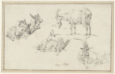 Studien von einer Ziege von Johann Heinrich Roos (possibly)