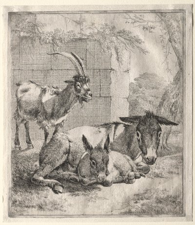 Ziege und Esel von Johann Heinrich Roos