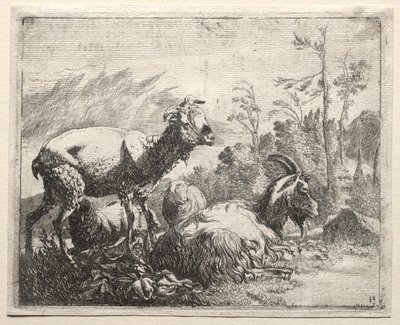 Ziegen, 1665 von Johann Heinrich Roos