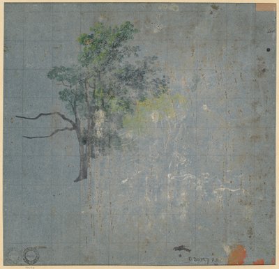 Baumstudien (verso) von Johann Jacob Dorner