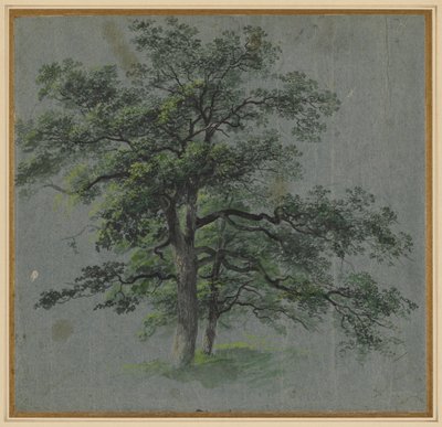 Zwei Bäume, erste Hälfte 1800er von Johann Jacob Dorner