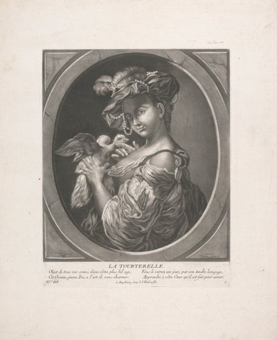 Die Turteltaube von Johann Jacobus Haid