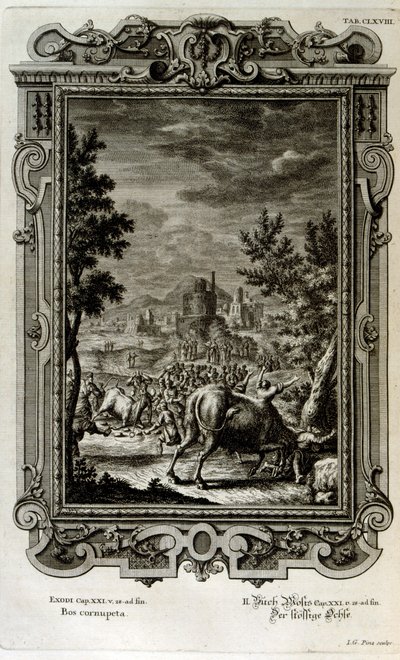 Opferung von Wildstieren von Johann Jakob Scheuchzer