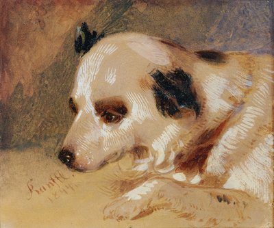 Hundekopf von Johann Matthias Ranftl