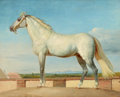 Schimmel vor einer niederen Mauer von Johann Peter Krafft