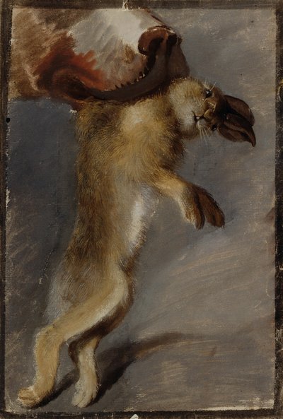 Studie eines Hasen von Johann Peter Krafft