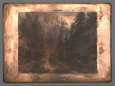 Bergfluss zwischen Bäumen von Johannes Arnoldus Boland