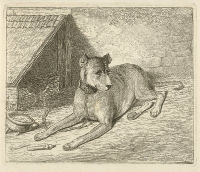 Hund an einer Kette bei einer Hundehütte von Johannes Mock