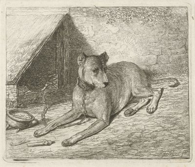 Hund an einer Kette bei einer Hundehütte von Johannes Mock
