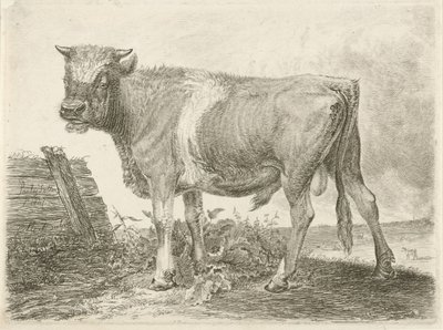 Stier von Johannes Mock