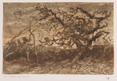 Baum bei Sonnenuntergang von Johannes Tavenraat (signed by artist)