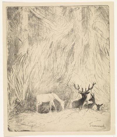 Hirsche in einem böhmischen Wald von Johannes Tavenraat