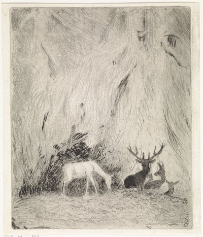 Hirsche in einem böhmischen Wald von Johannes Tavenraat