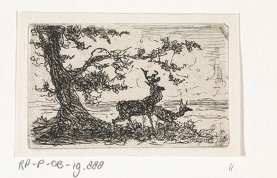Zwei Hirsche unter einem Baum von Johannes Tavenraat