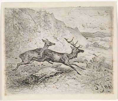 Zwei laufende Hirsche von Johannes Tavenraat