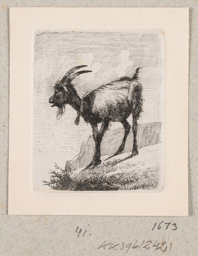 Eine Ziege mit Glocke von Johannes Wilhelm Zillen