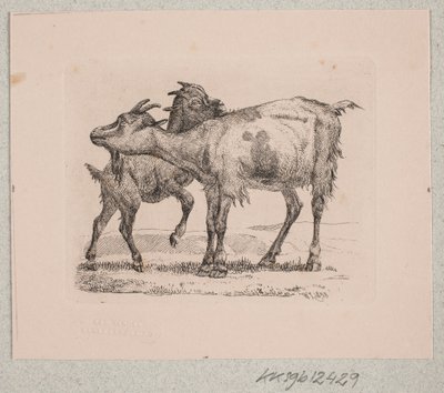 Eine Ziege mit ihrem Kitz von Johannes Wilhelm Zillen