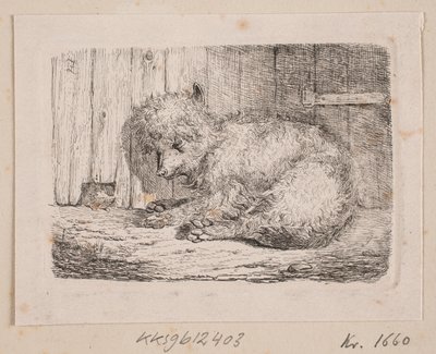 Ein langhaariger Hund von Johannes Wilhelm Zillen