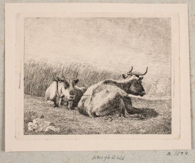 Zwei ruhende Kühe von Johannes Wilhelm Zillen