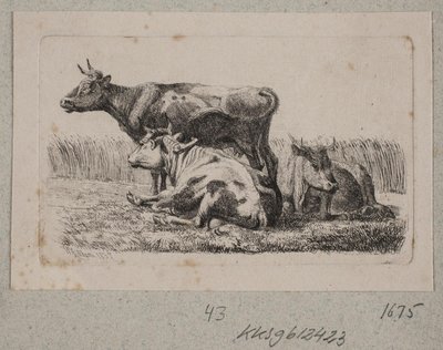Drei Kühe von Johannes Wilhelm Zillen