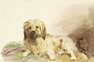 Der Hund des Künstlers, ca. 1860 von John Adam P. Houston