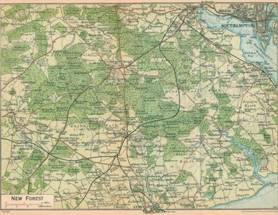 New Forest, 20. Jahrhundert von John Bartholomew