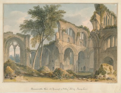 Hampshire - Netley Abbey - Überreste, 1823 von John Buckler