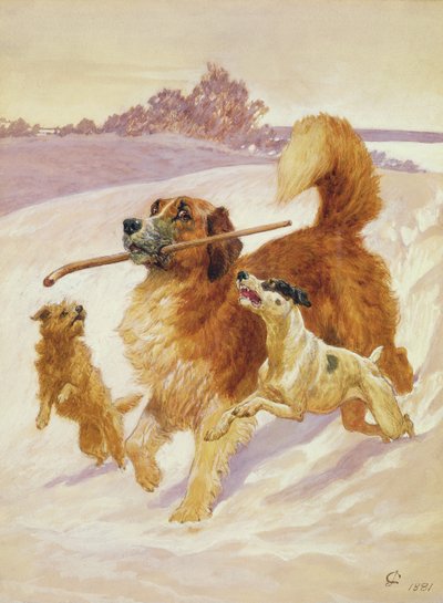 Drei Hunde spielen im Schnee, 1881 von John Charlton