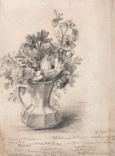 Blumen in einem Krug von John Constable