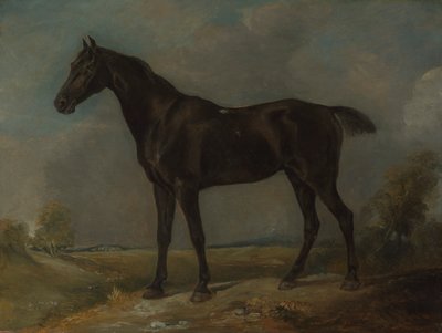 Golding Constables Schwarzes Reitpferd von John Constable