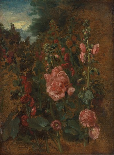 Studie von Stockrosen von John Constable