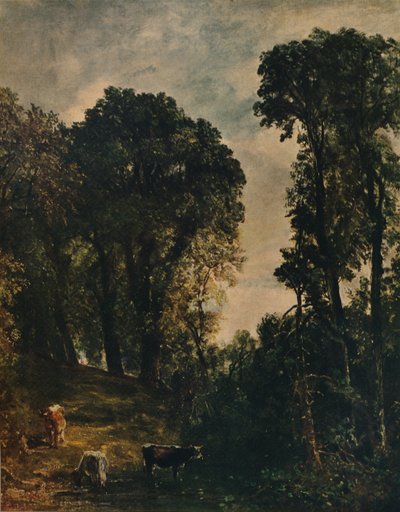 Bäume in der Nähe der Hampstead-Kirche, 1829, ca. 1915 von John Constable