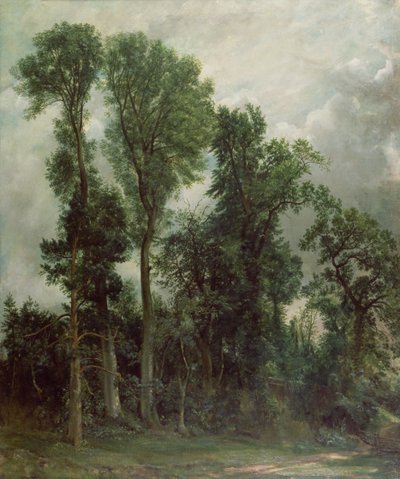 Bäume in Hampstead von John Constable