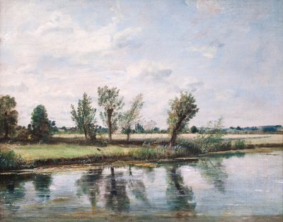 Wiesen bei Salisbury von John Constable
